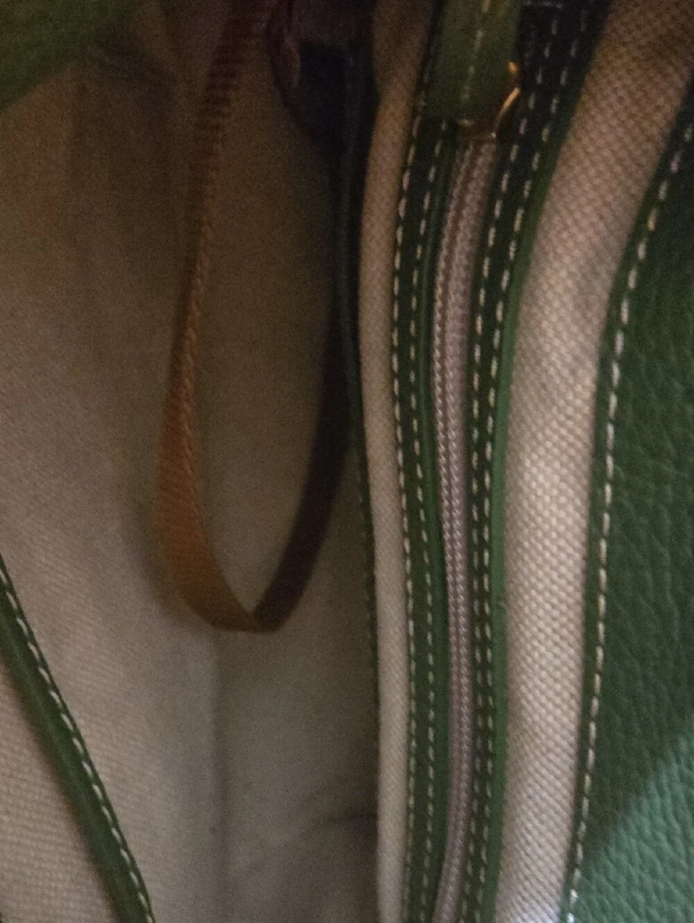 Dooney & Bourke Lucca Green Pebbled Leather Satchel.